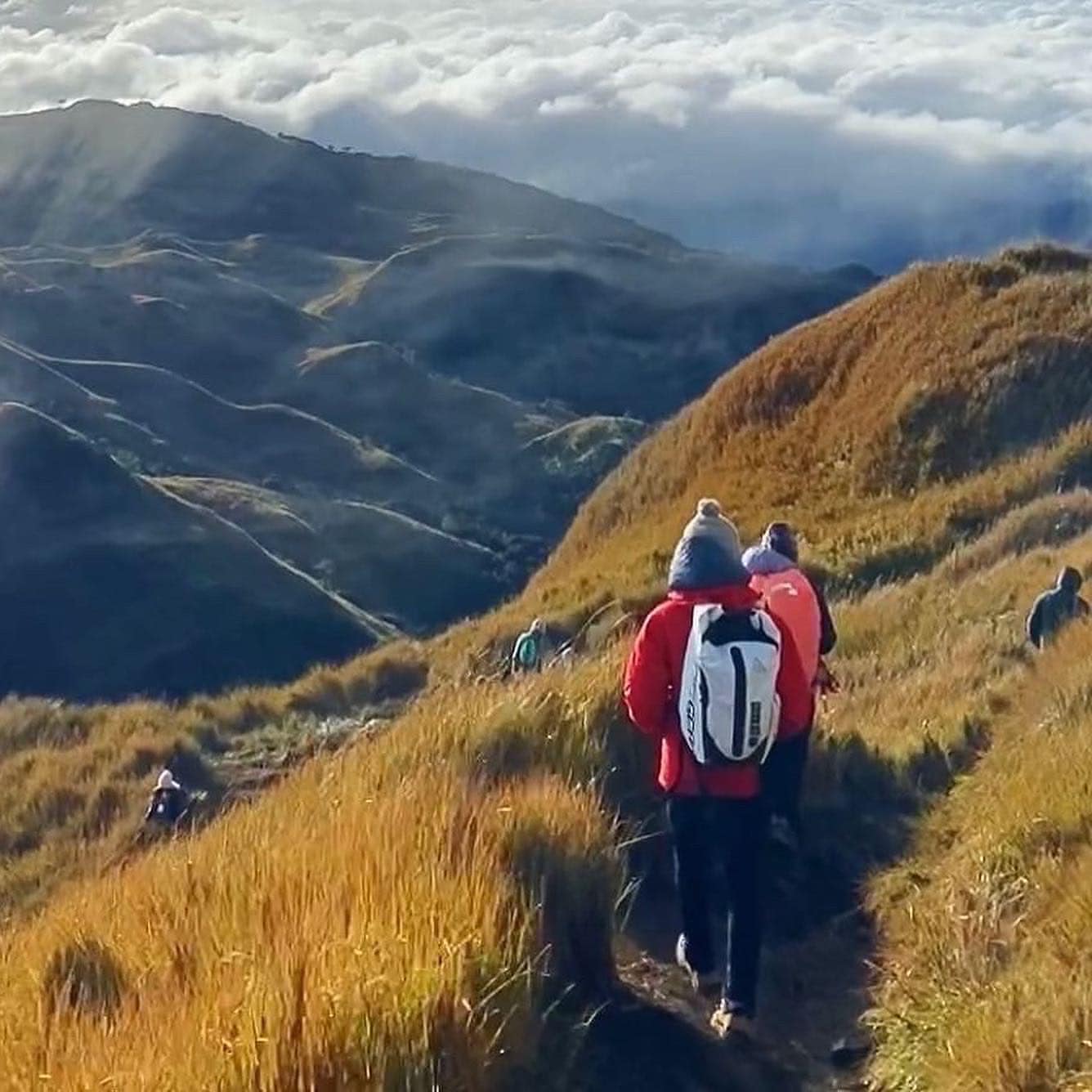 HIKING MT PULAG (INCLUDE FLIGHT)
