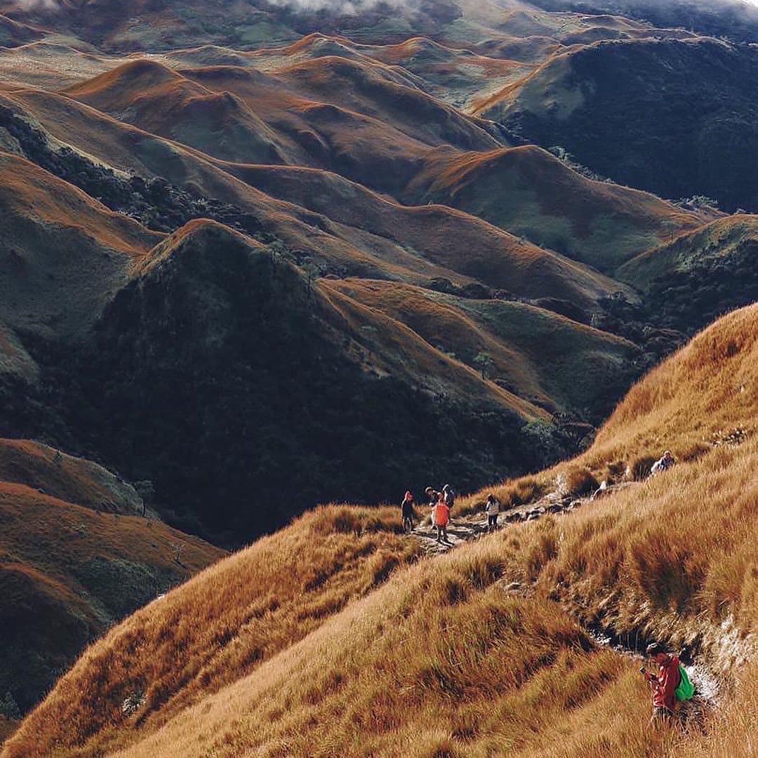 HIKING MT PULAG (INCLUDE FLIGHT)