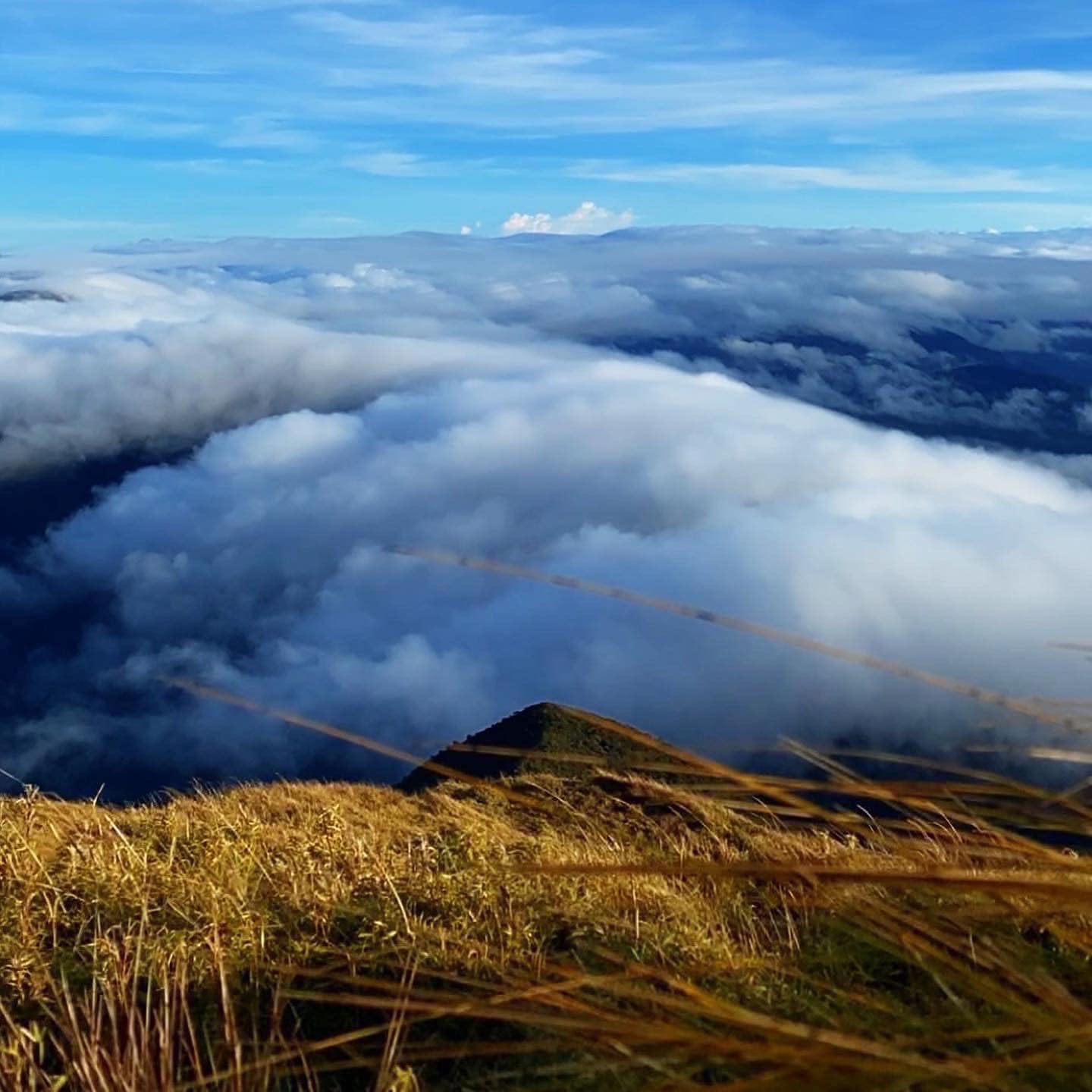 HIKING MT PULAG (INCLUDE FLIGHT)