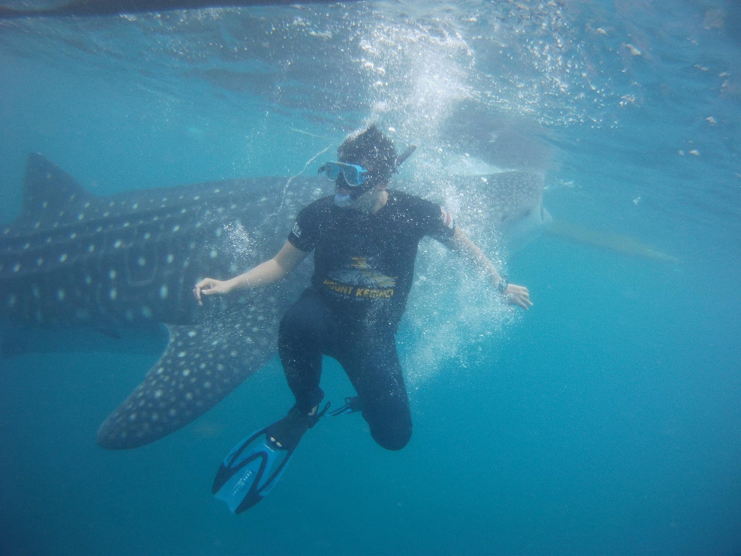 DISCOVER CEBU