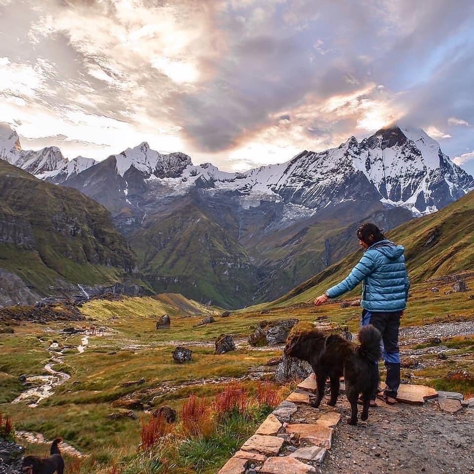 EXPLORE ANNAPURNA BASECAMP (ABC)