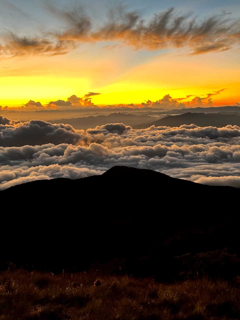 HIKING MT PULAG (INCLUDE FLIGHT)