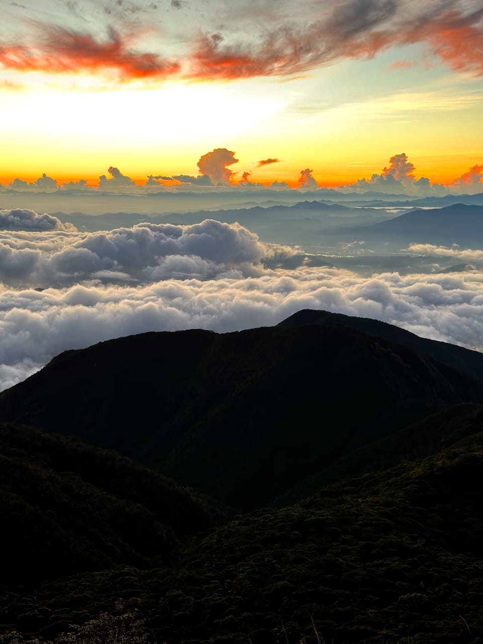 HIKING MT PULAG (INCLUDE FLIGHT)