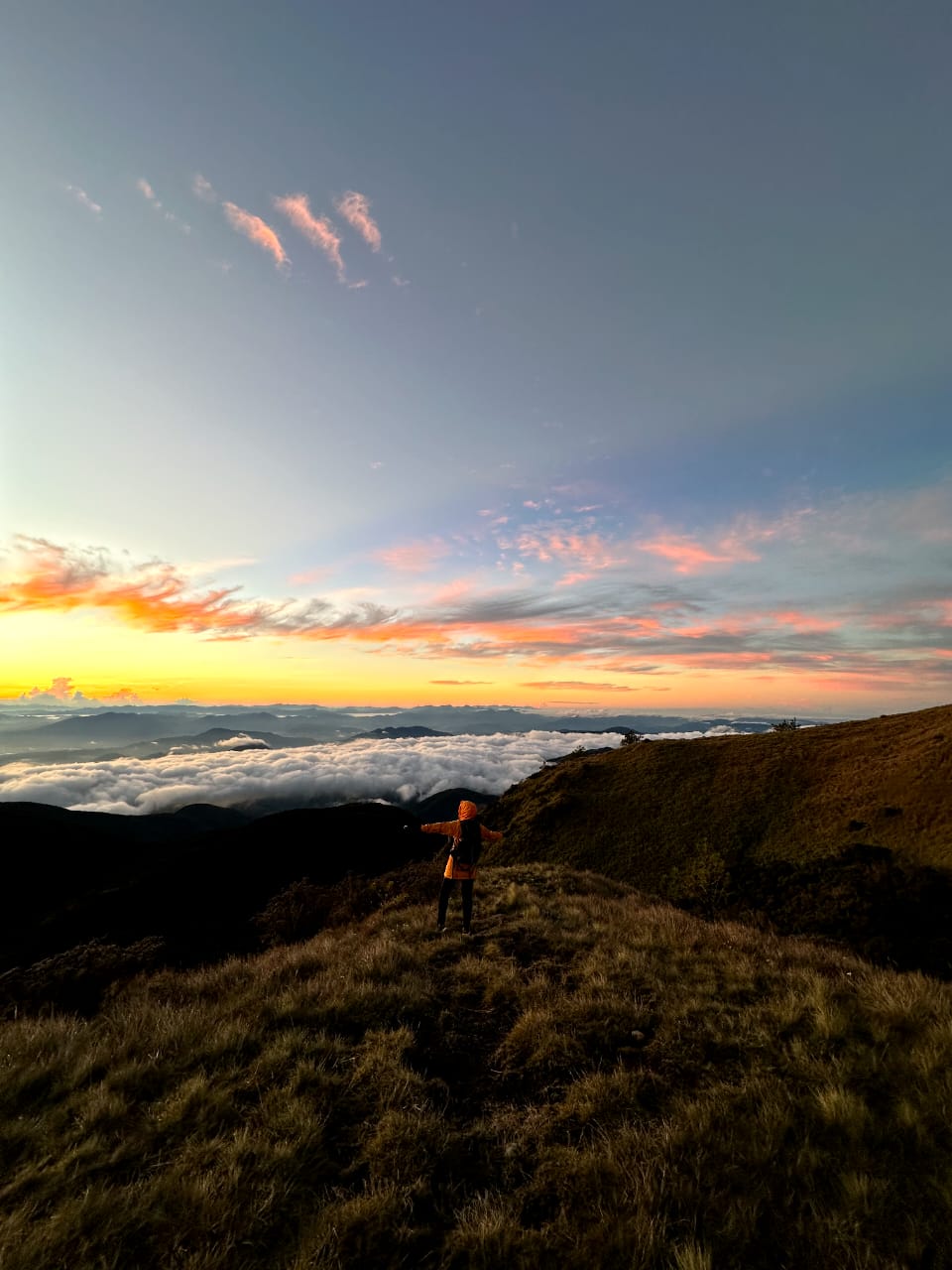 HIKING MT PULAG (INCLUDE FLIGHT)