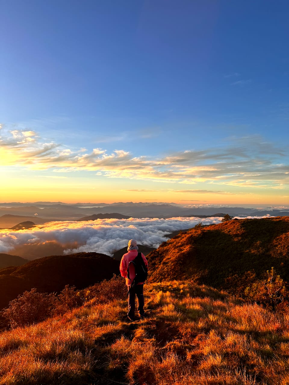 HIKING MT PULAG (INCLUDE FLIGHT)