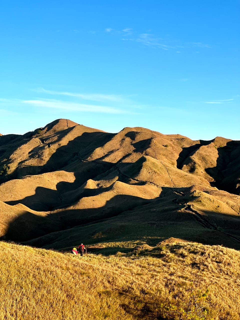 HIKING MT PULAG (INCLUDE FLIGHT)