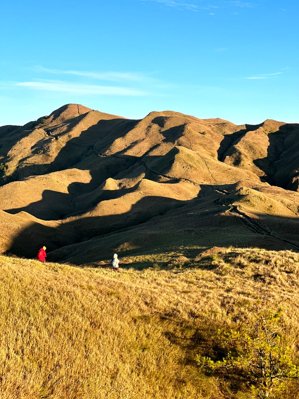 HIKING MT PULAG (INCLUDE FLIGHT)