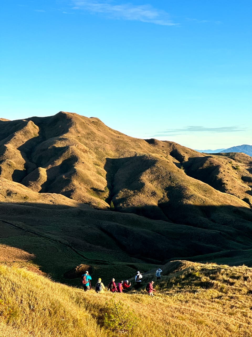 HIKING MT PULAG (INCLUDE FLIGHT)