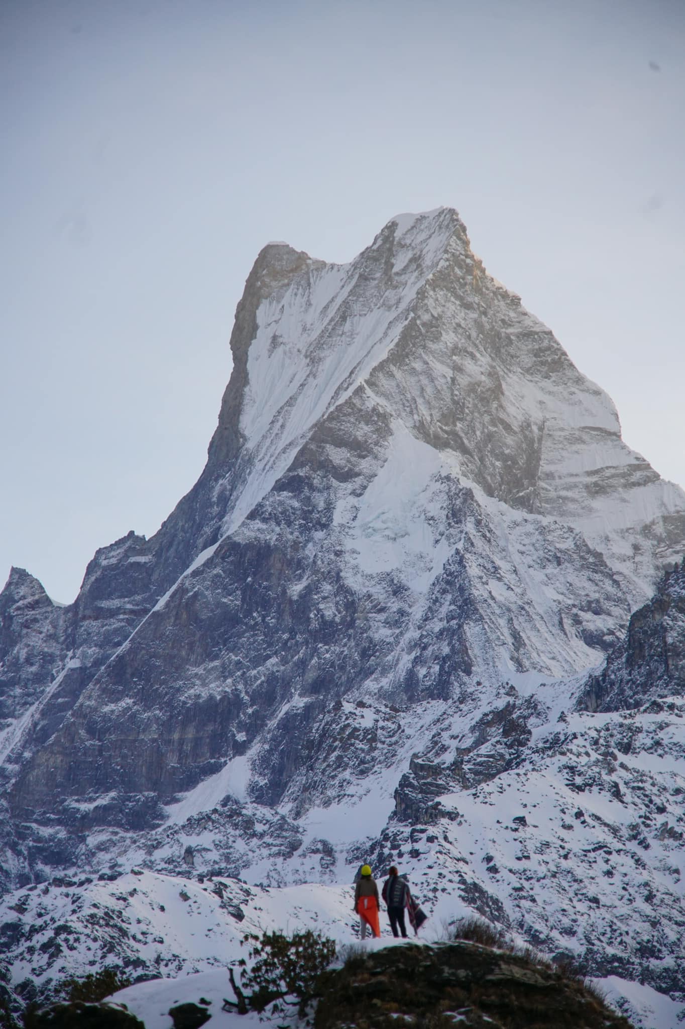 MARDI HIMAL BASE CAMP