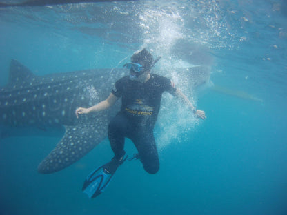 DISCOVER CEBU