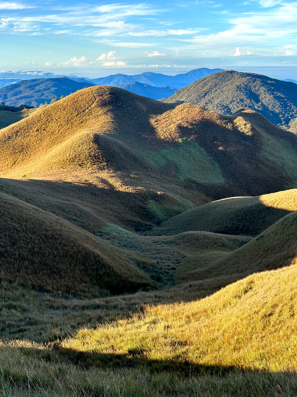 HIKING MT PULAG (INCLUDE FLIGHT)