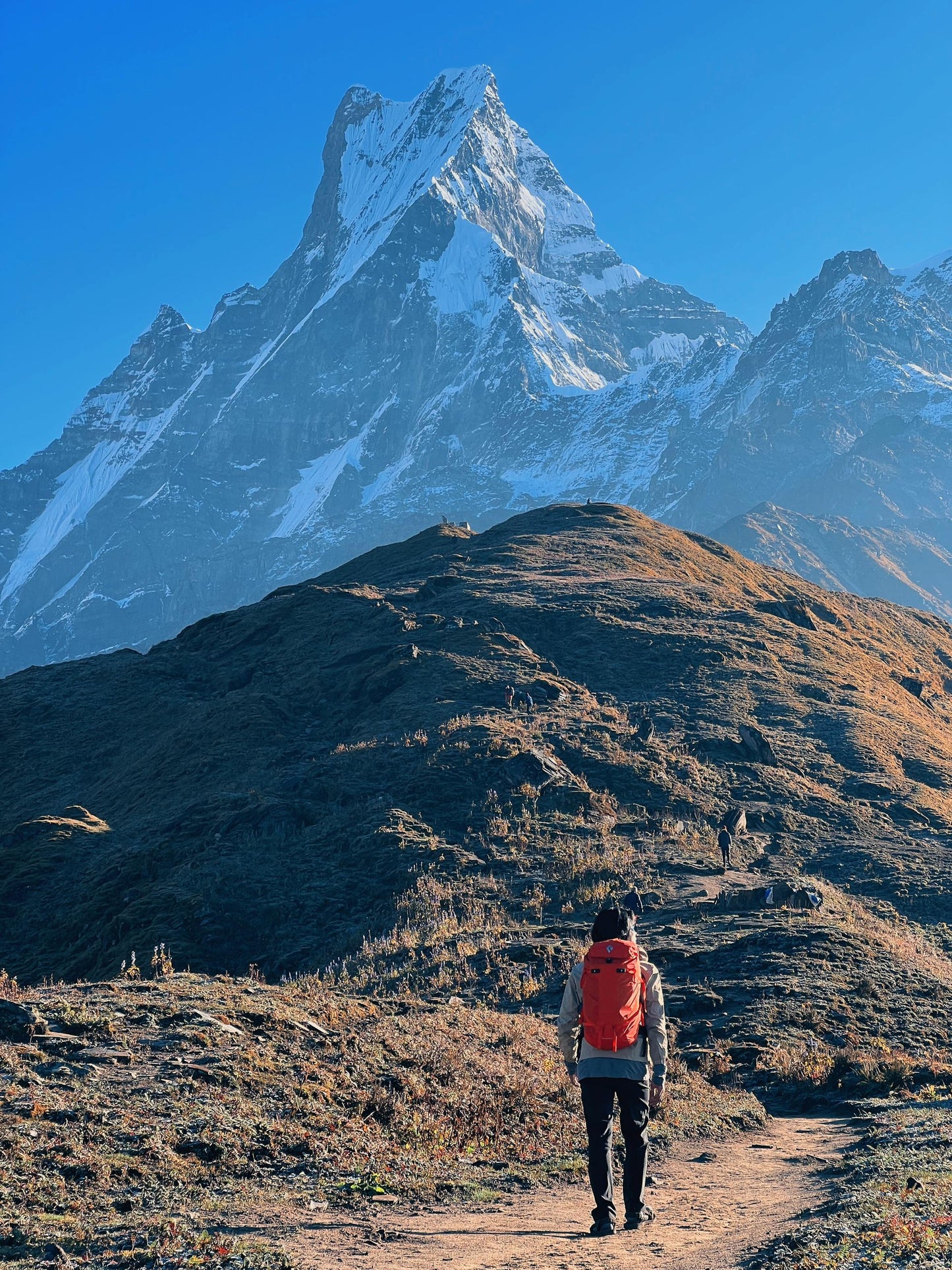 MARDI HIMAL BASE CAMP PROMO!!!! INCLUDE FLIGHT ✈️✈️✈️